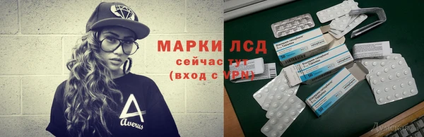 хмурый Верея