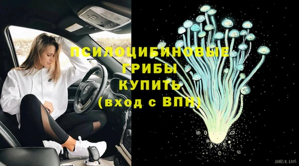 хмурый Верея